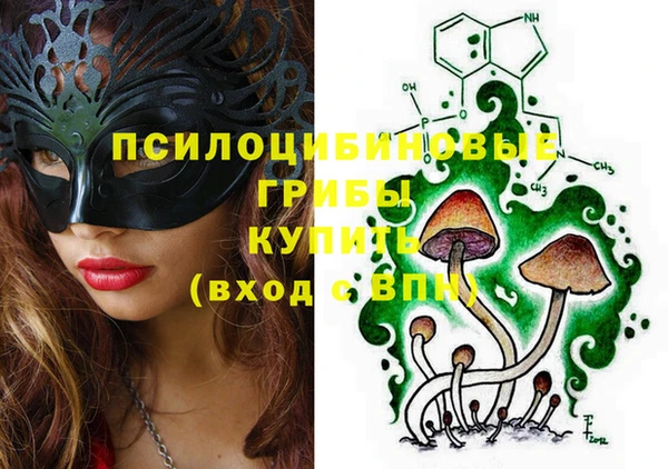 мяу мяу мука Абаза