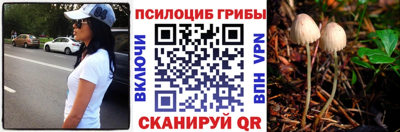 Галлюциногенные грибы MAGIC MUSHROOMS  Хасавюрт 
