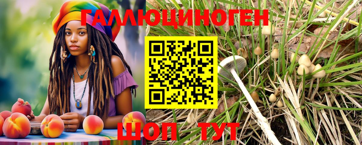 Псилоцибиновые грибы MAGIC MUSHROOMS  Вход с VPN  Псилоцибиновые грибы MAGIC MUSHROOMS  Хасавюрт 
